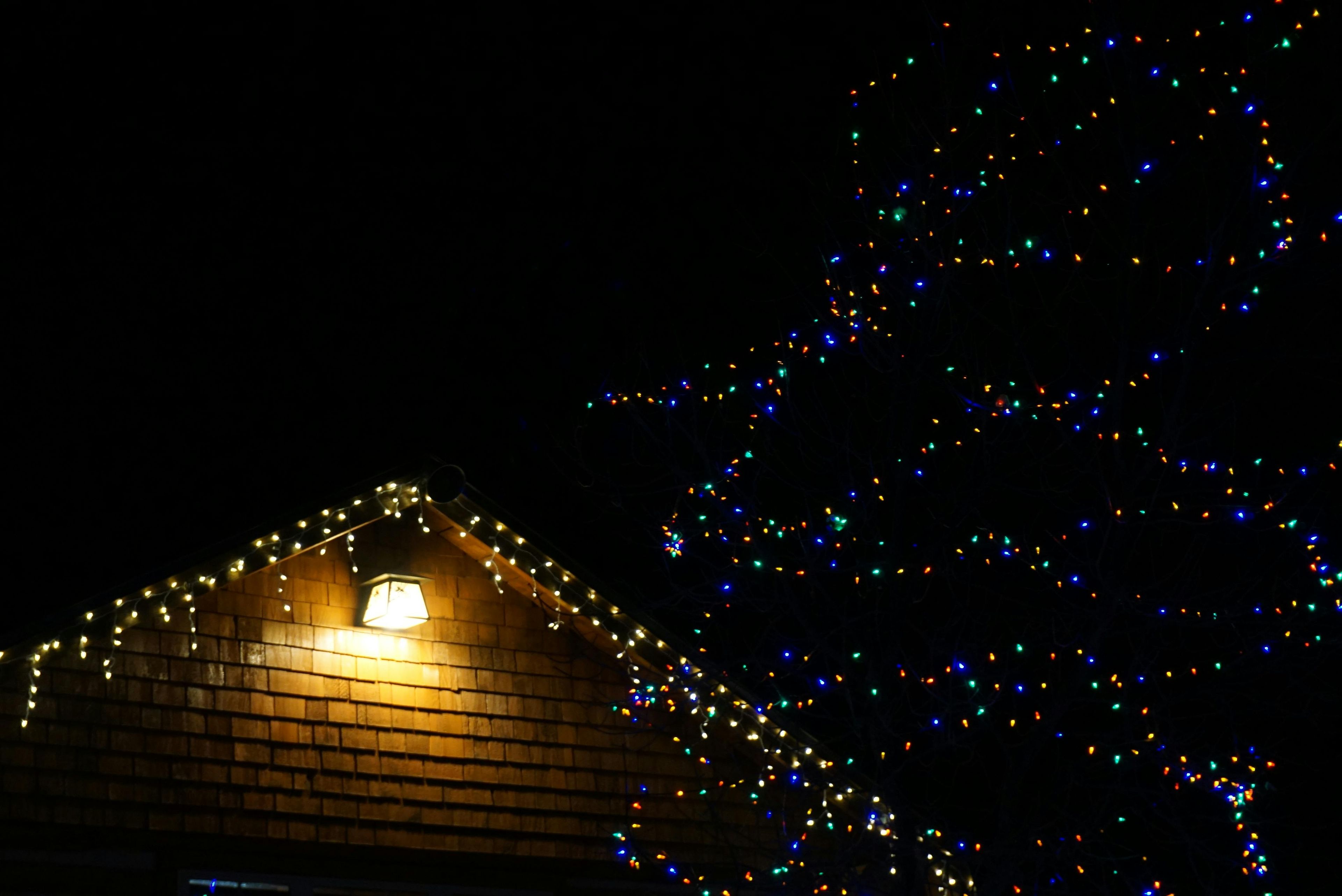 christmas and holiday lighting services